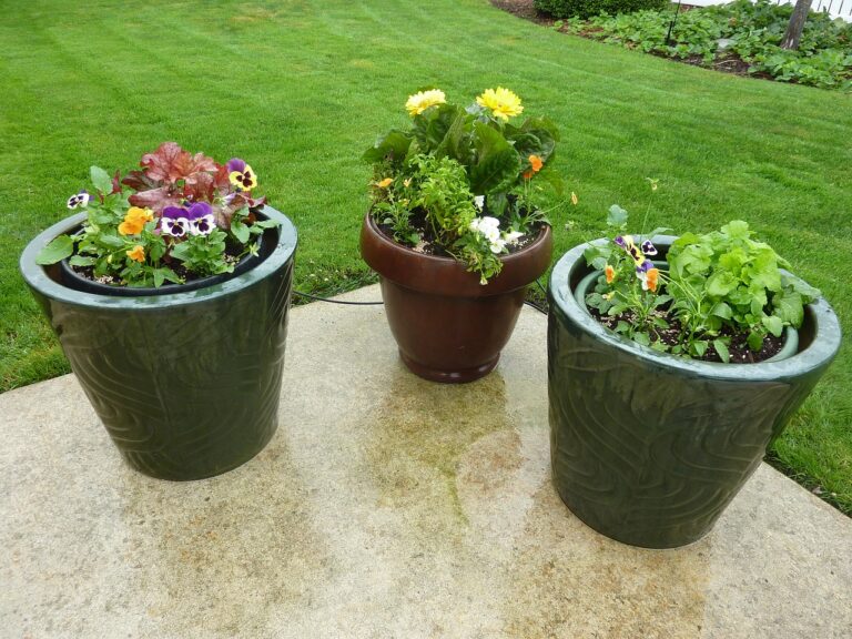 flowers, pots, patio-248822.jpg